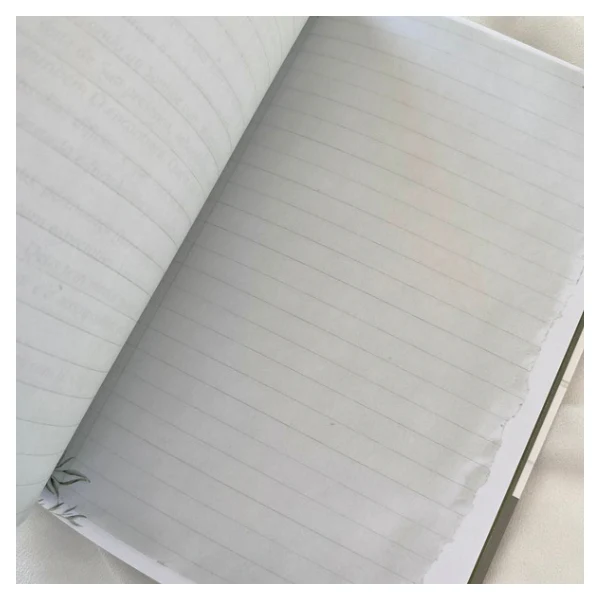 Imagem do produto 12